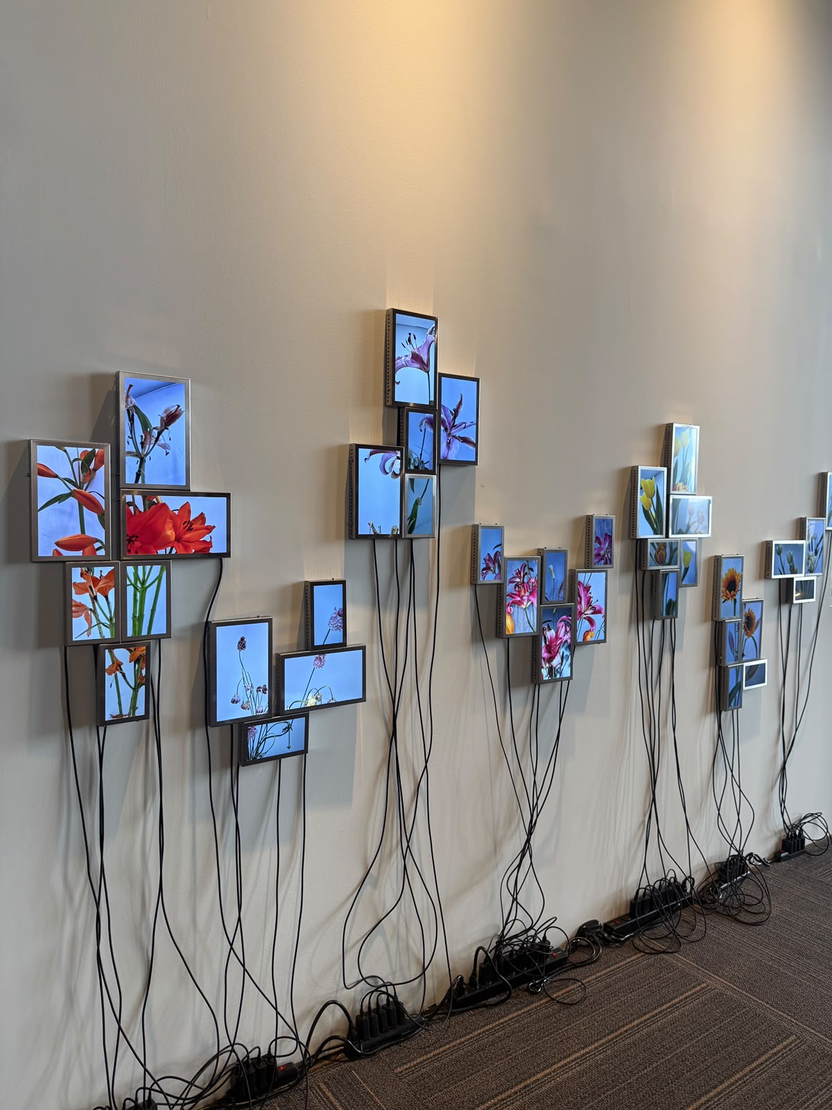 Rolf Art | Artbo 26 | Installation view 44