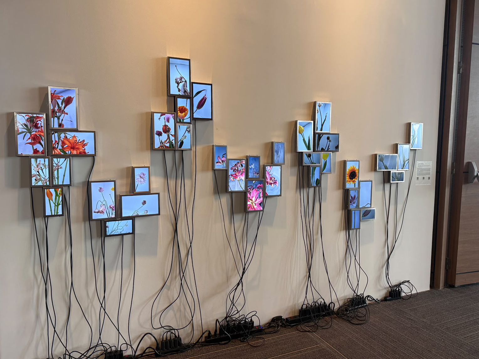 Rolf Art | Artbo 26 | Installation view 47